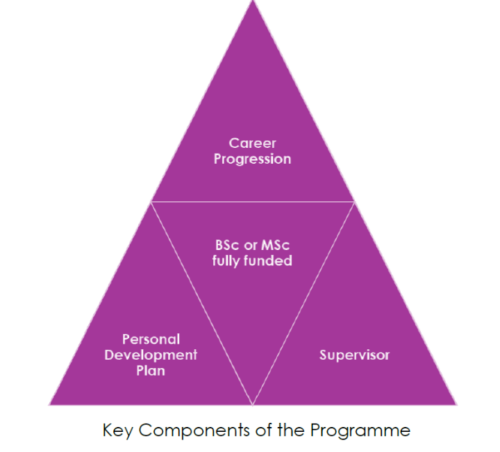 Key components of the programme