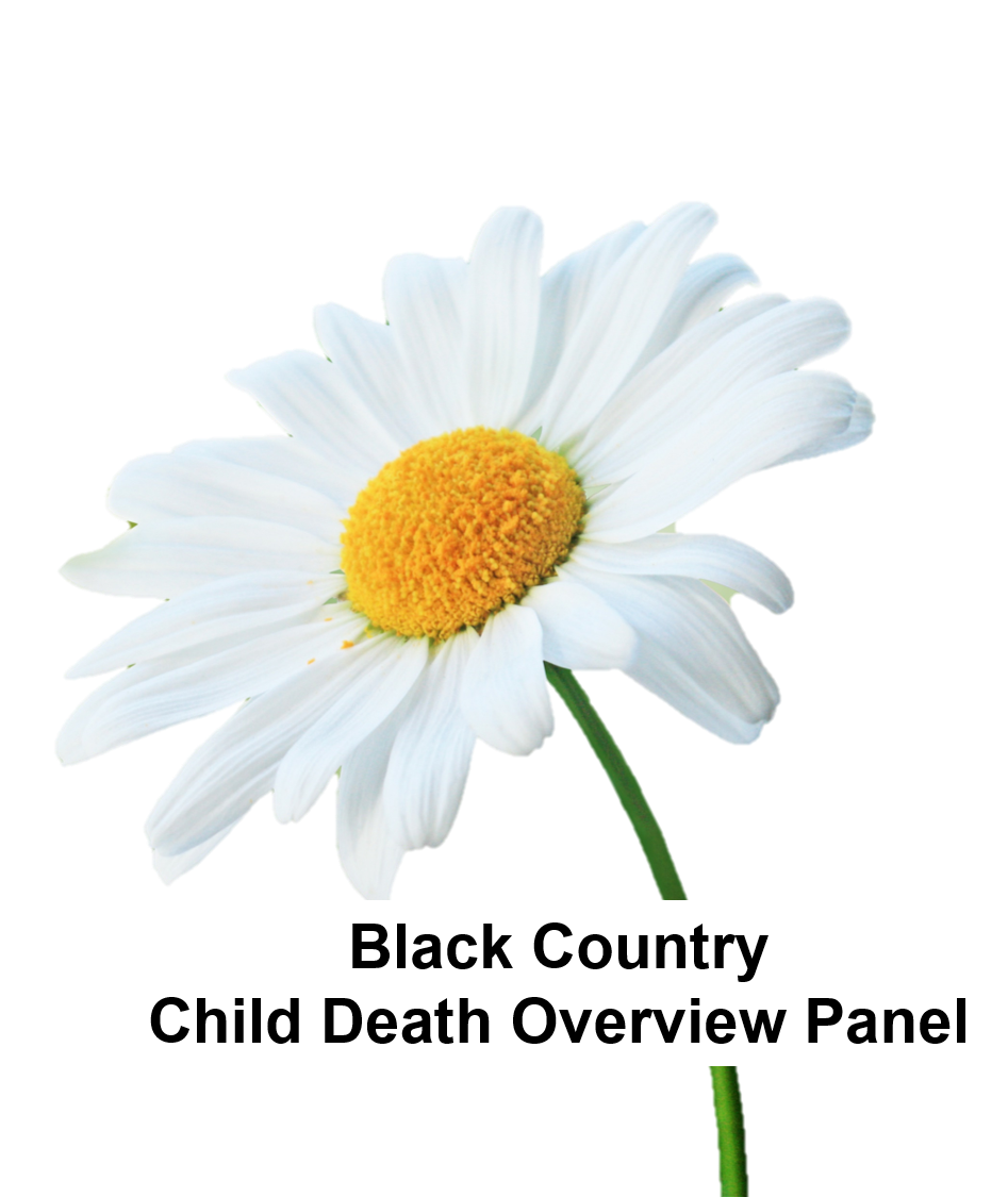 CDOP logo of daisy flower